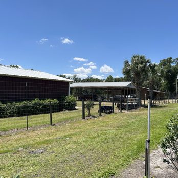Lyna Berry Farm - Lyna Berry Farm - Pick Your Own Farms Near Me - Lithia, Florida Lyna Berry Farm - Lyna Berry Farm - Pick Your Own Farms Near Me - Lithia, Florida