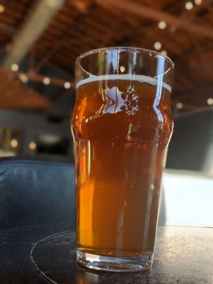 Elation Brewing by null