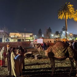 Bethlehem A.D. - Camel