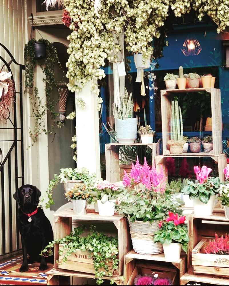 POLLINATION FLOWERS & PLANTS Updated March 2024 32 Photos 42