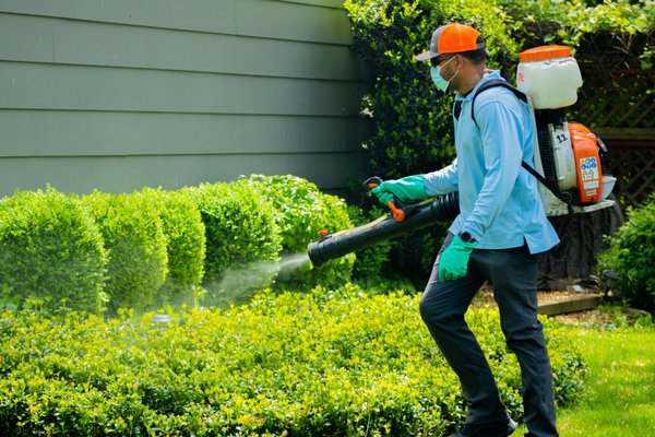 MOSQUITO RANGER - Updated December 2025 - 15 Photos & 12 Reviews - 40 ...