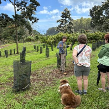 Honolii Orchards - Food Tours Near Me - Hilo, Hawaii Honolii Orchards - Food Tours Near Me - Hilo, Hawaii