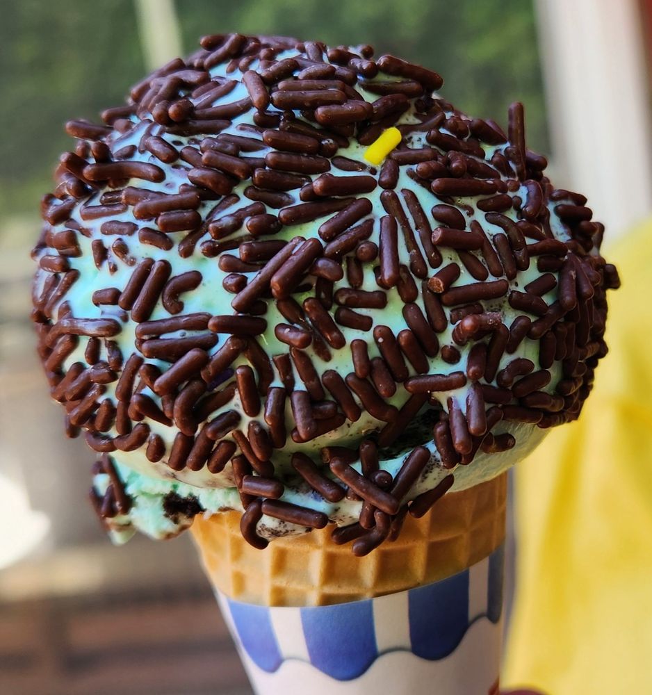 SHELDON’S ICE CREAM Updated September 2024 29 Photos & 22 Reviews