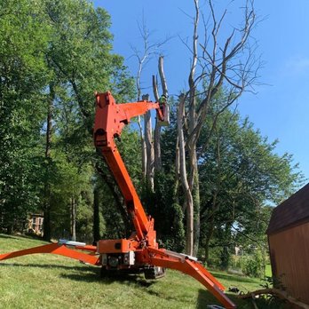 Jarvis Tree Service - Tree Services Near Me - Hartville, Ohio Jarvis Tree Service - Tree Services Near Me - Hartville, Ohio