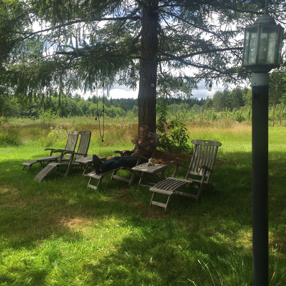 Dragon's Head Cider - The wonderful grounds to enjoy a glass of cider - Cideries Near Me - Vashon, Washington Dragon's Head Cider - The wonderful grounds to enjoy a glass of cider - Cideries Near Me - Vashon, Washington
