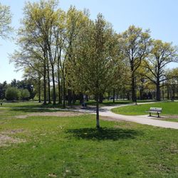 Quincy Dog Park - Big dog area.  Lots of open space and trees.