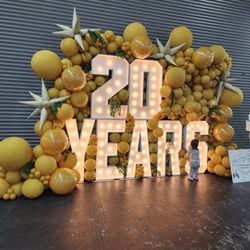 California Artisan Cheese Festival - I have attended for 15 of the 20 years!