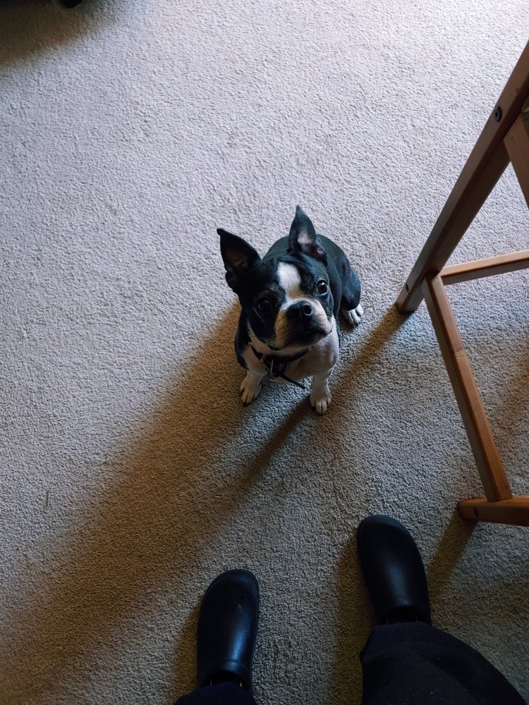 ELLETTSVILLE VETERINARY CLINIC Updated October 2024 10 Reviews