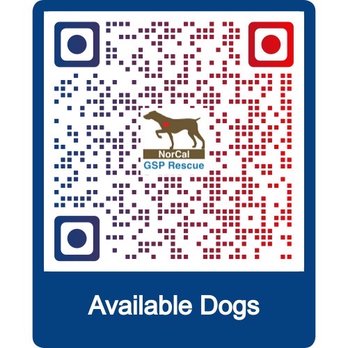 Classy Canine's Wiggle Rumps - How to enquirer about our rescue dogs available for adoption. - Pet Groomers Near Me - Castrovalley, California Classy Canine's Wiggle Rumps - How to enquirer about our rescue dogs available for adoption. - Pet Groomers Near Me - Castrovalley, California
