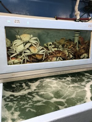 D&K Live Seafood by null