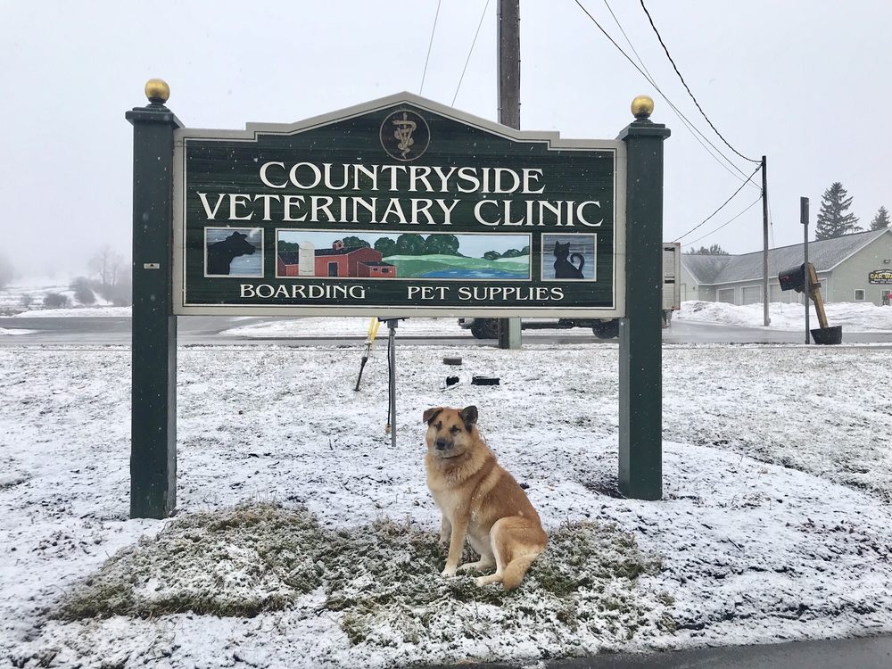 COUNTRYSIDE VETERINARY CLINIC Veterinarians 7364 Utica Blvd