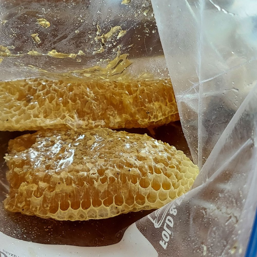 Bee Wranglers - Pure honey - Pest Control Near Me - Riverside, California