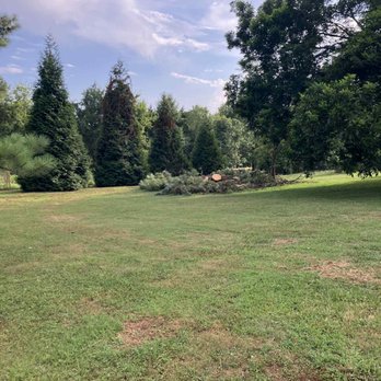 Tarzan Tree Trimmin - Tree Services Near Me - Statesville, North Carolina Tarzan Tree Trimmin - Tree Services Near Me - Statesville, North Carolina