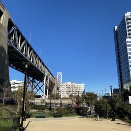 Large dog area
