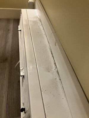 Movie Colony Hotel by null