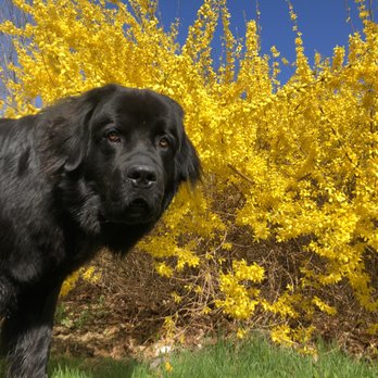 Continuous Harmony Farm - Attraction Farms Near Me - Lincolnville, Maine Continuous Harmony Farm - Attraction Farms Near Me - Lincolnville, Maine