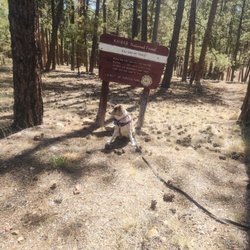 Jacob Lake Campground - Nature Trail around CG