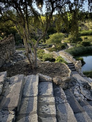 Japanese Tea Garden by null