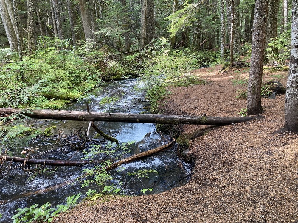Little Zigzag Falls Logo