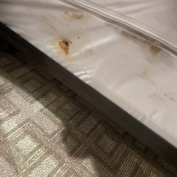 Paradise Lodge - Stains on the bottom of the mattress.