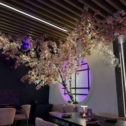 Baku Asian Fusion Sushi Bar Orlando