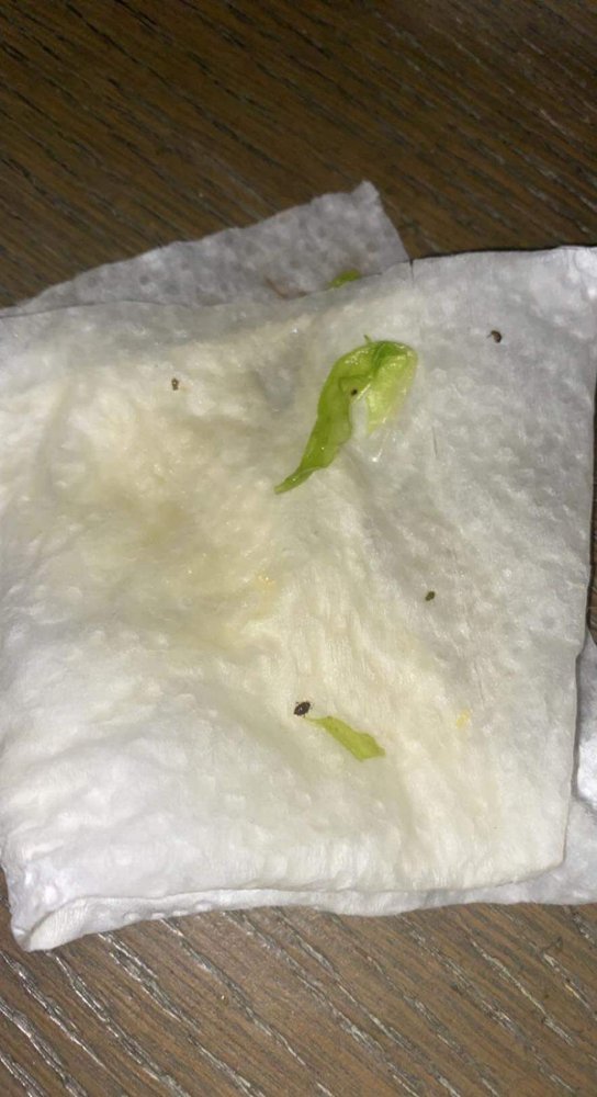 U CHINA Updated August 2024 13 Photos & 27 Reviews 326 Seabreeze