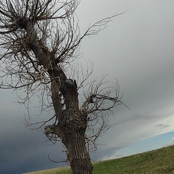 Badlands National Park - Parks Near Me - Interior, South Dakota