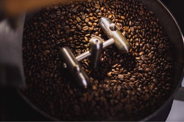 Cold Blooded Coffee & Roastery by null