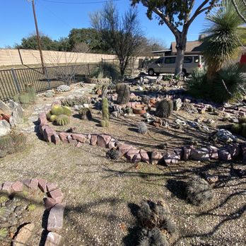 Paul's Desert - Front garden - Nurseries & Gardening Near Me - Schertz, Texas Paul's Desert - Front garden - Nurseries & Gardening Near Me - Schertz, Texas