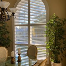 Ocala Interiors