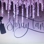 Photo of Chico Mobile Spray Tans