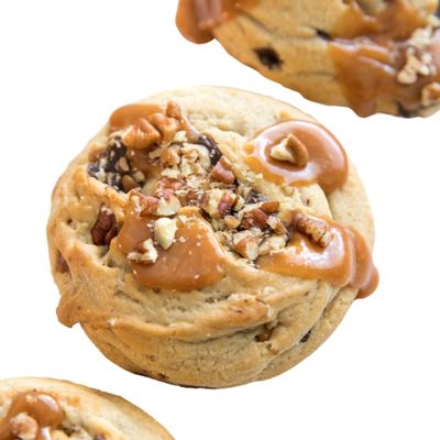 CurlyTop Baker by null