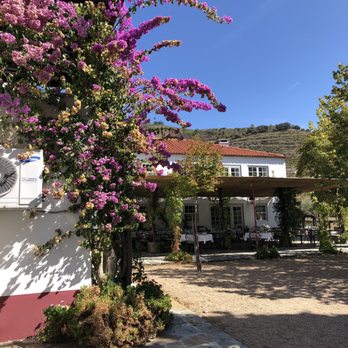Quinta Nova de Nossa Senhora do Carmo - Beautiful setting - Wineries Near Me - Covas do Douro, 17