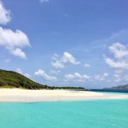 Buck Island Reef - Turtle Beach