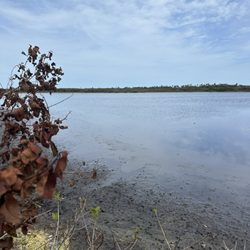 Canaveral National Seashore Park