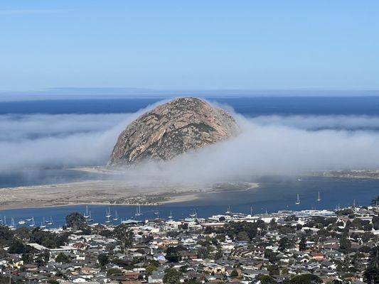 Morro Bay State Park by null