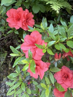 Takayama Jinya by null