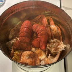 Topsail Steamer - Shark Bite