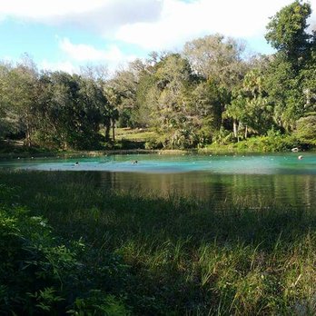 Rainbow Springs State Park - Such a beautiful spot. - Parks Near Me - Dunnellon, Florida Rainbow Springs State Park - Such a beautiful spot. - Parks Near Me - Dunnellon, Florida