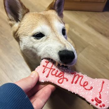 Puppernickel - Pet Stores Near Me - Hillsboro, Oregon Puppernickel - Pet Stores Near Me - Hillsboro, Oregon