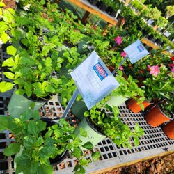Allstar Garden Center