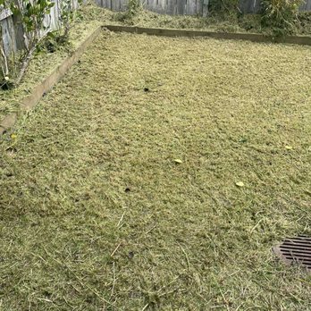 Eastwoods Lawn Care - Lawn Services Near Me Eastwoods Lawn Care - Lawn Services Near Me