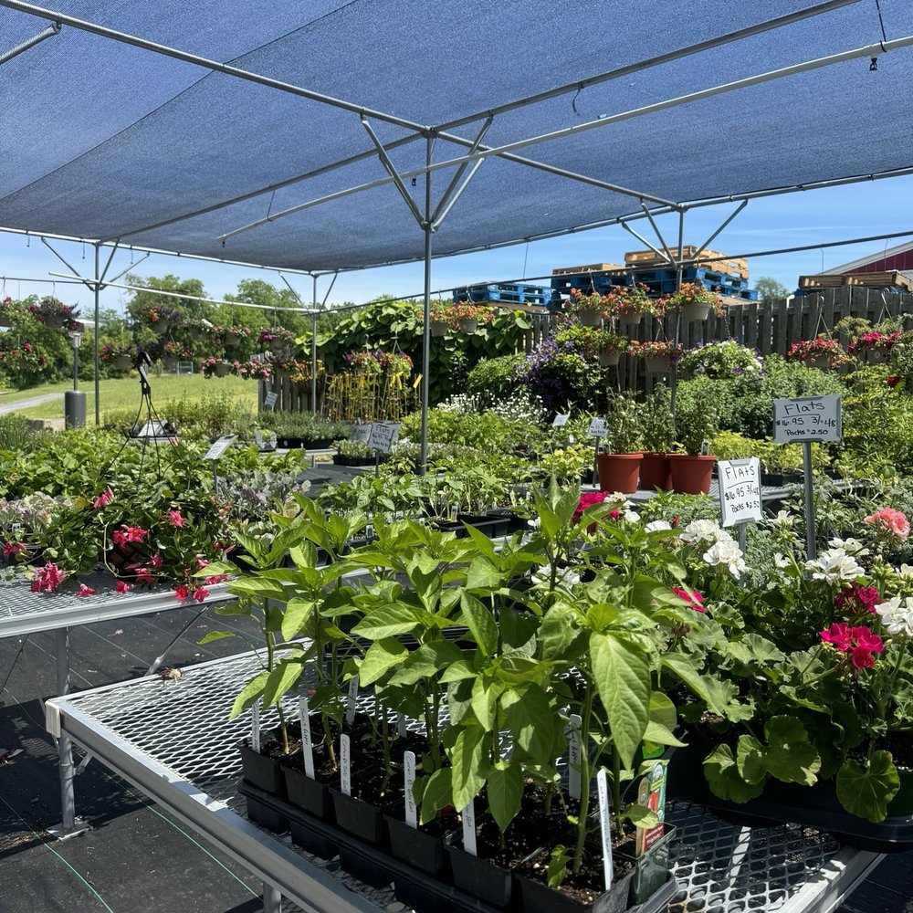 Nursery Nursery