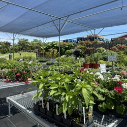Nursery