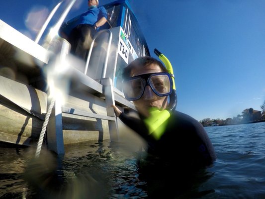 Plantation Adventure Center and Manatee Tours by null