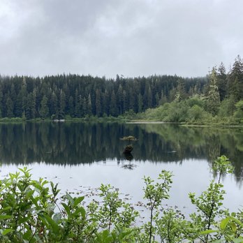 Surfside Adventure Tours - Fairy Lake - Wine Tours Near Me - Victoria, British Columbia Surfside Adventure Tours - Fairy Lake - Wine Tours Near Me - Victoria, British Columbia