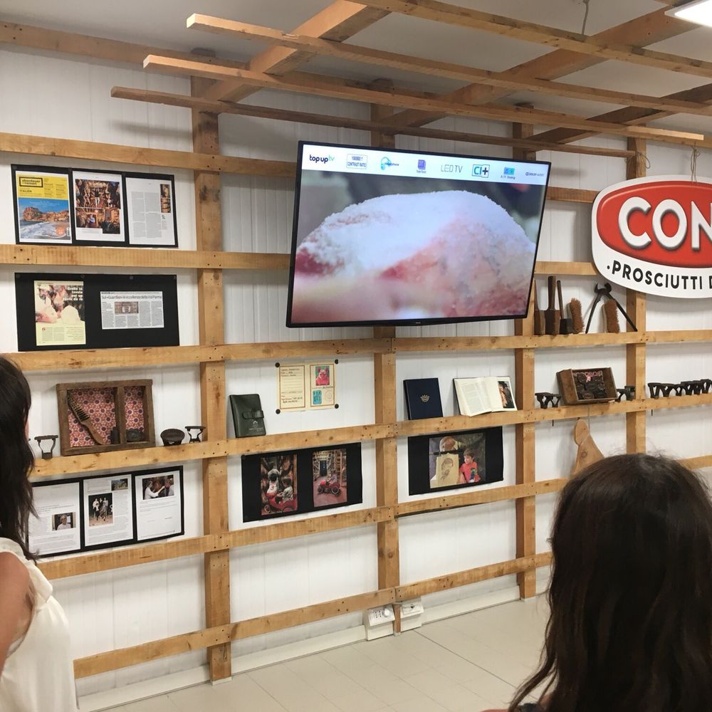 Maestro Travel Experience - Bus Tours Near Me - Parma, Puerto Rico