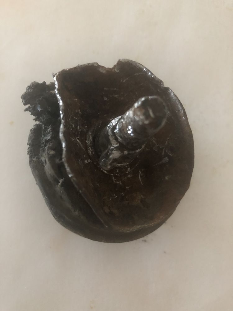 Slide of Raptor Plumbing