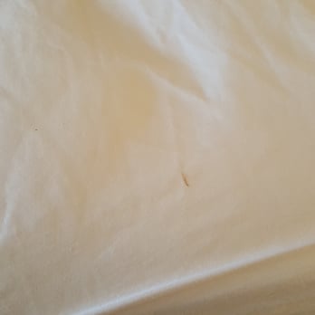 D'arbonne Lake Motel - Blood on the sheets from either bugs or a human. - Hotels Near Me - Farmerville, Louisiana