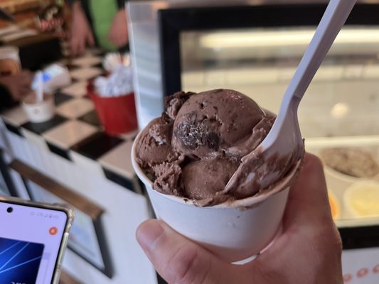 Moo Moo's Creamery - The World’s Best Ice Cream Shop by null